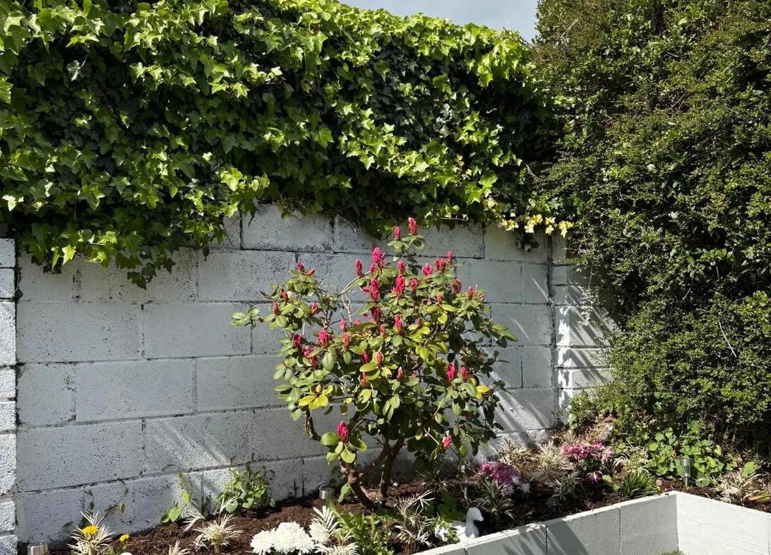 Superb Triple Room Near Airport - 1 Dublin Ierland