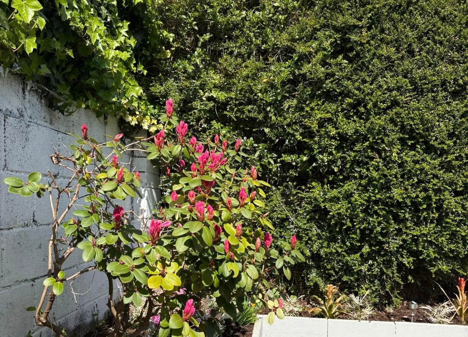 Superb Triple Room Near Airport - 1 Dublin Gasthuis